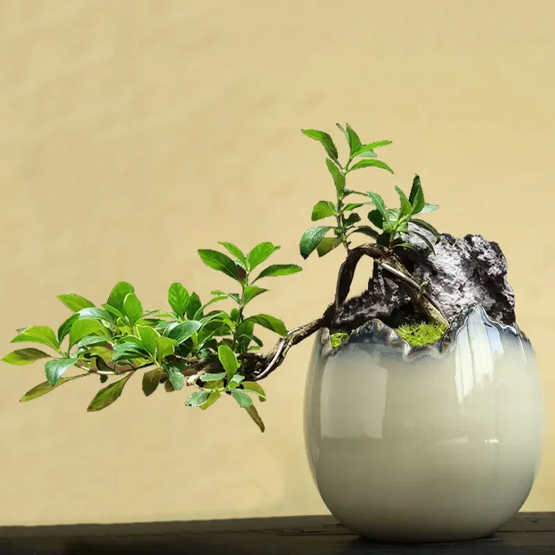 Creative Succulent Flowerpot Ceramic Stoneware Breathable Gap Personality Old Pile Green Plant Green Dill Spider Plant Iron