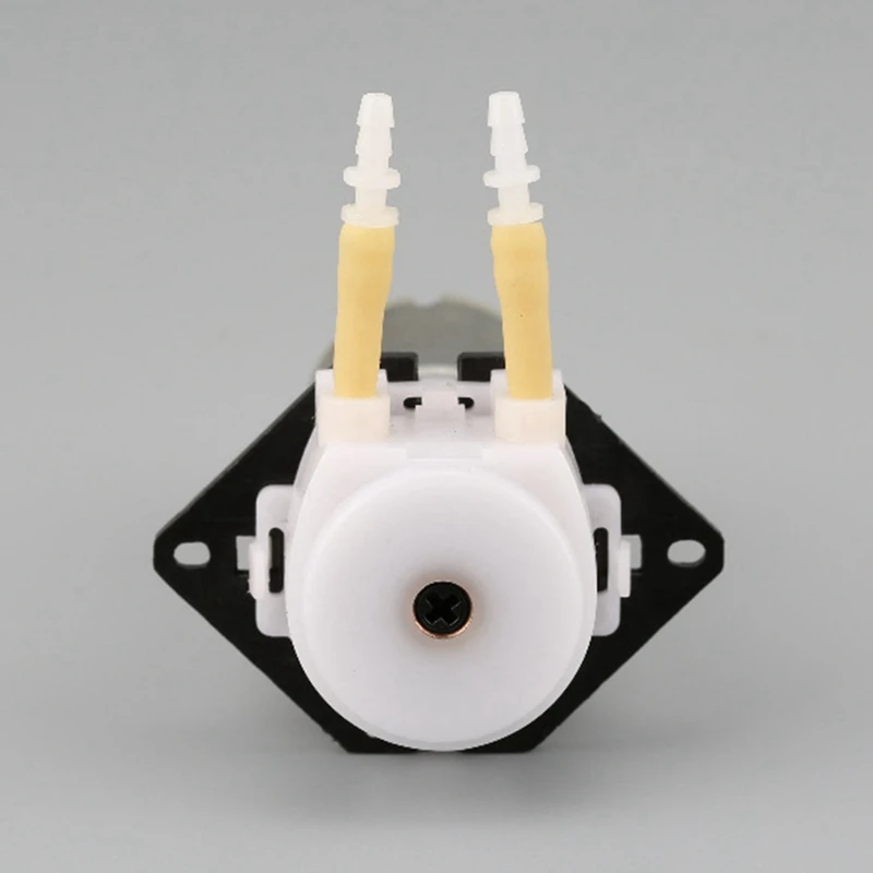 Gear Reduction Peristaltic Pump Slow Flow Mini Silicone Tube Metering Pump Drip Water Self-Priming Pump DC Pumping