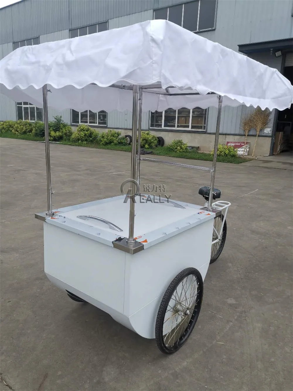 OEM Pedal Assist Freezer Bicycle Popsicle Vending Cart Commercial Cargo Tricycle 3 Wheel Electric Ice Cream Bike for Sale