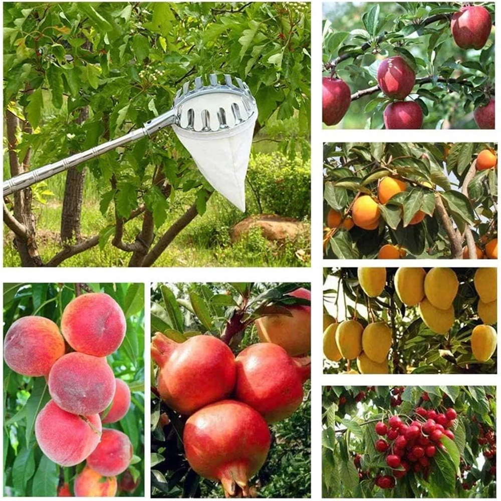 1pcs Plastic Fruit Picker Head with Bag 14CM Garden Farm Fruit Catcher Harvest Picking Tool Tree Picker Pole for Avocado Apple