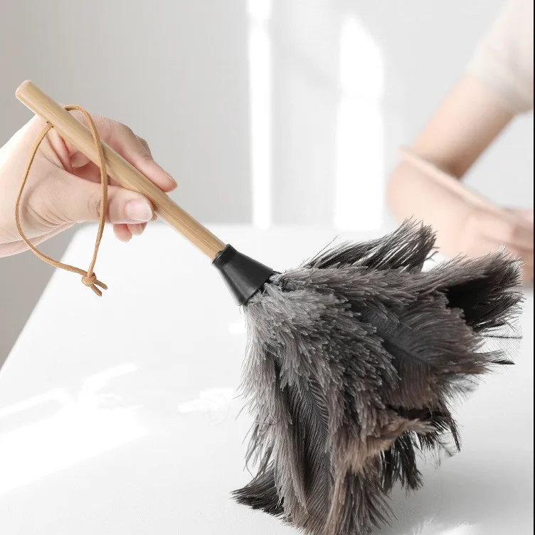 Feather Duster Wood…