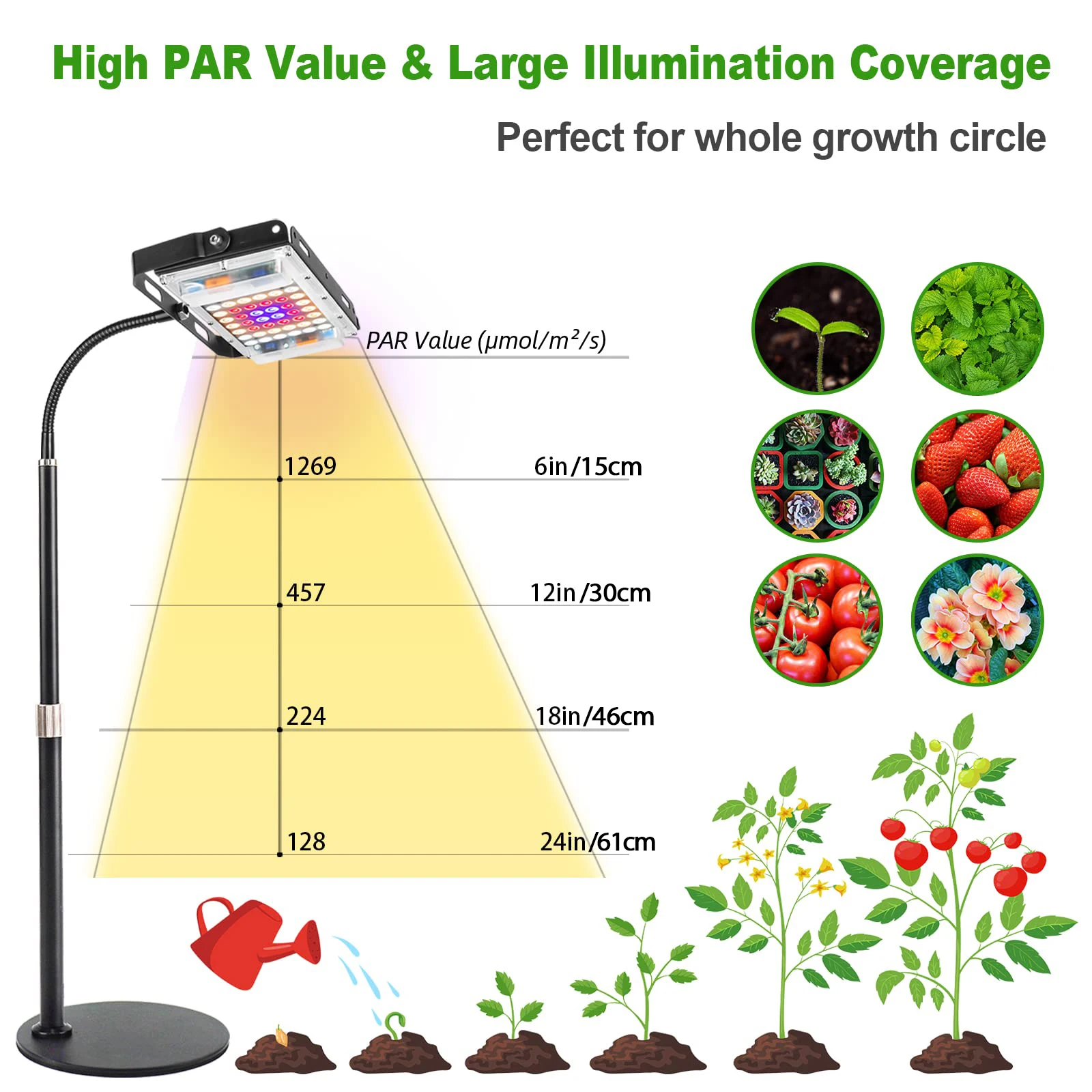 Full Spectrum Plant Grow Light Desk LED Dimmable Auto on/Off Timer Gooseneck Table Top Houseplants Growing Lamp for Indoor Plant