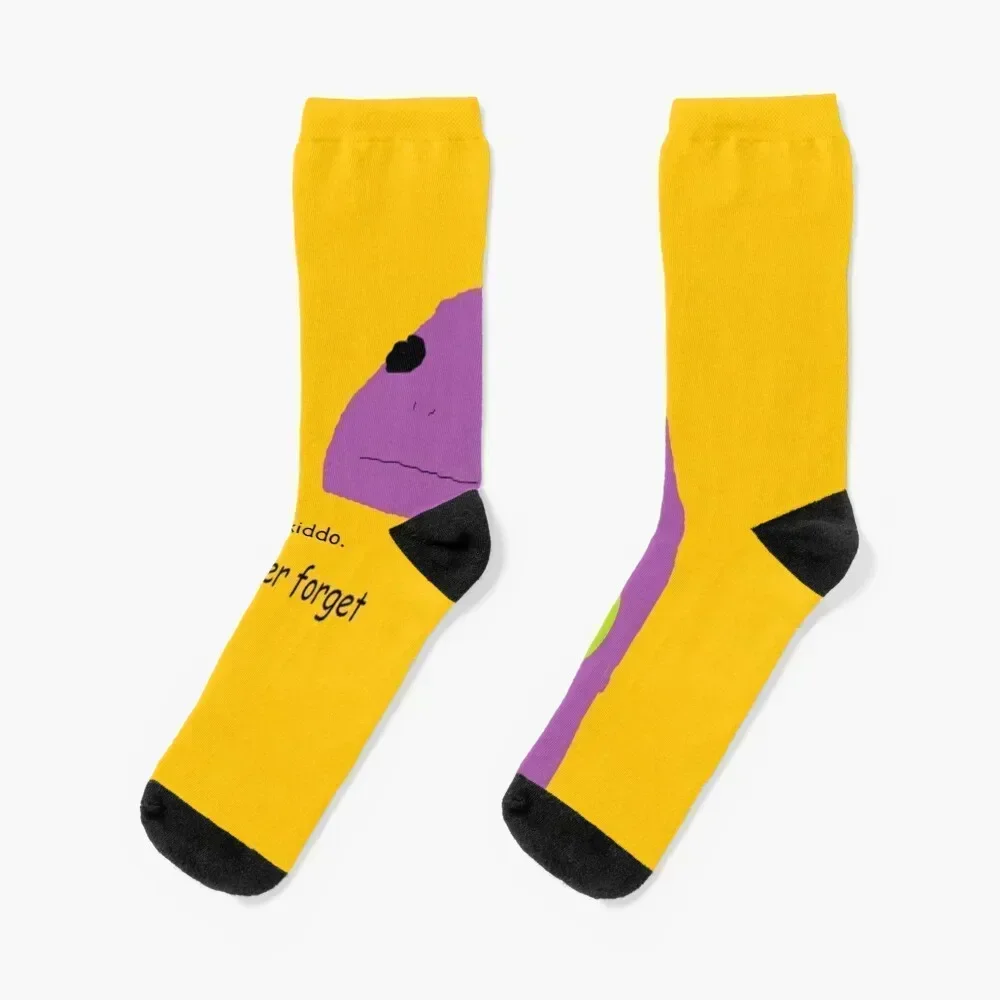 

motivational lizard Socks Antiskid soccer custom sports anti-slip hip hop Men's Socks Women's