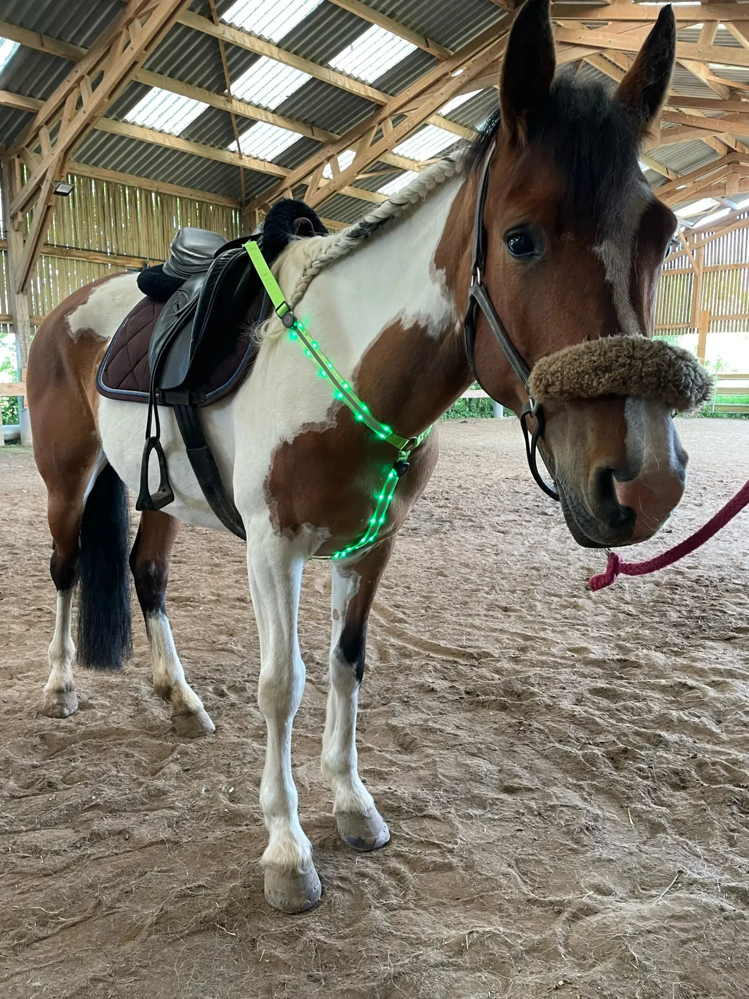 Ceinture d\'équitation en nylon SFP LED, équipement d\'équitation visible la nuit, plastron cheval extérieur, course de touristes, équestre