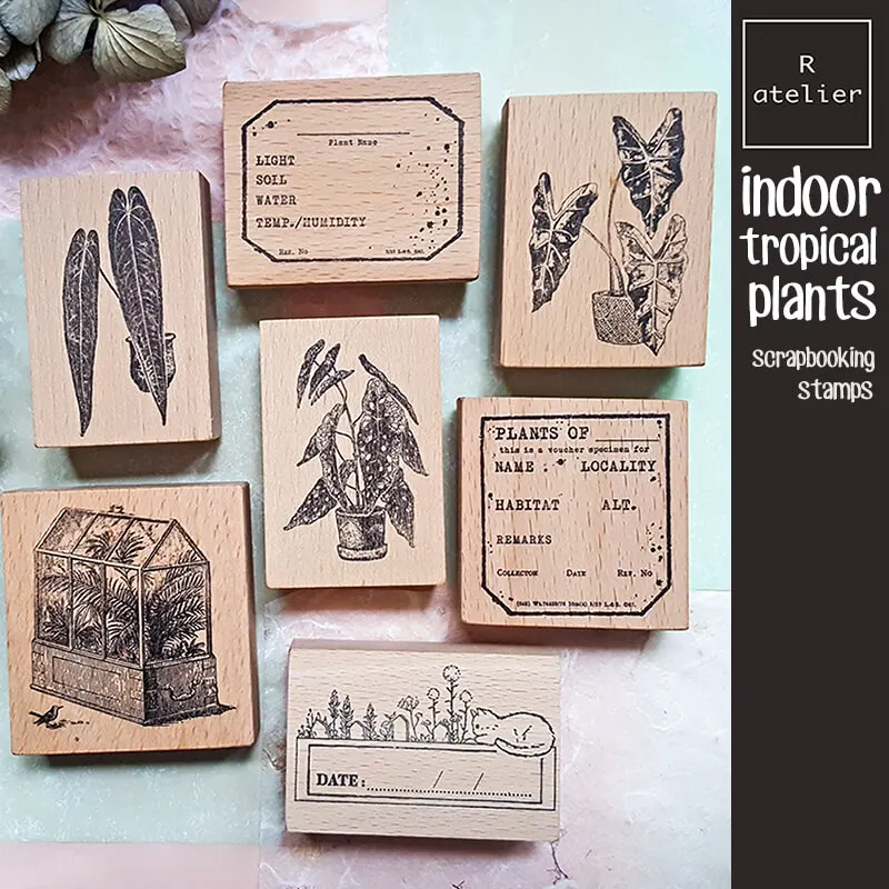 Scrapbooking Stamp Indoor Plant Lover Alocasia Anthurium Begonia Diary Decoration Journaling Wooden Stamps