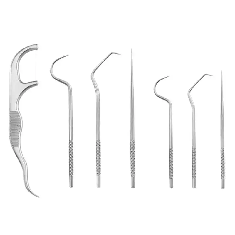1 Set Portable Toothpick Floss Teeth Cleaner Oral Cleaning Stainless Steel Toothpick Set Tooth Flossing Reusable Toothpicks