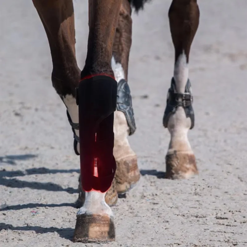 Horse Red Light Therapy Knee Wrap Infrared Joint Pain Relief Protective Support Brace