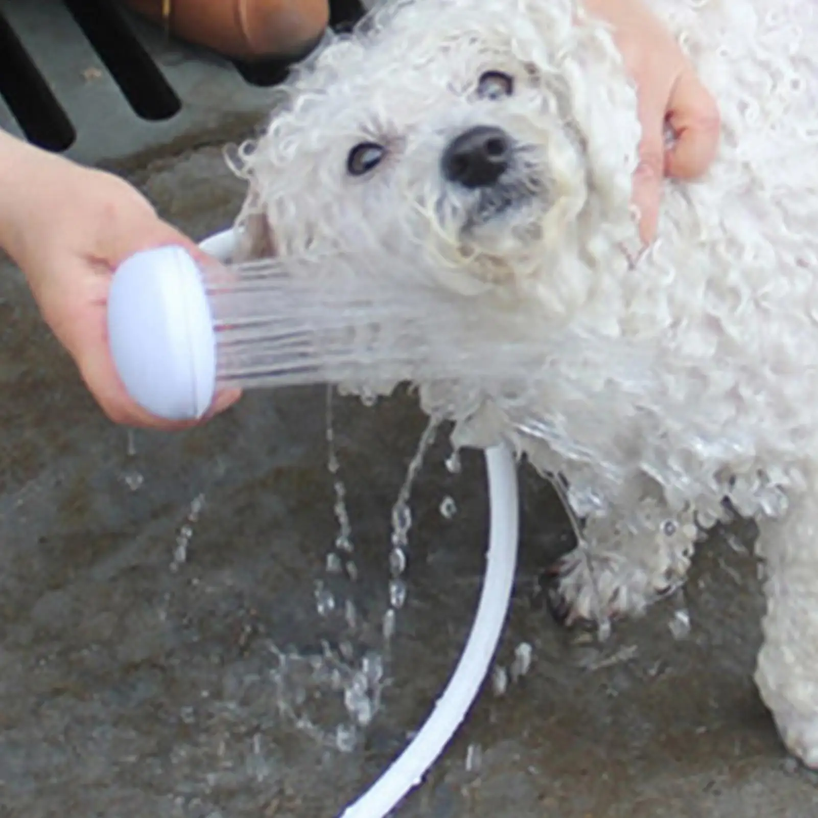 Bathing Sprayer Pet Shower Hose Attachment Quick-Connect durable Extended Spray Head simple Portable Handheld For Cat Dog ﻿