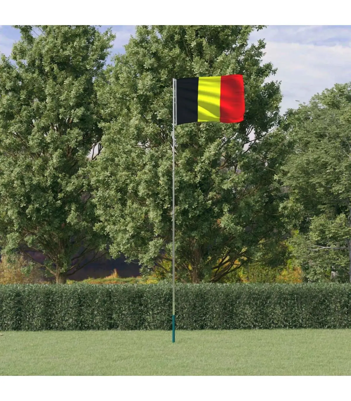 5,55 m aluminum Belgium flag and wind sleeve flags