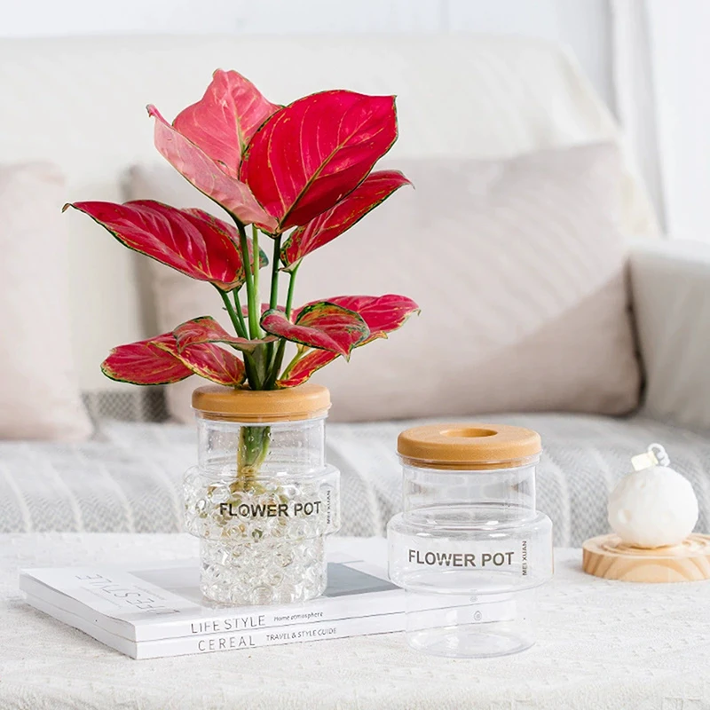Pot de fleur transparent gris clair, Pot de plante verte de bureau, Pot de maison