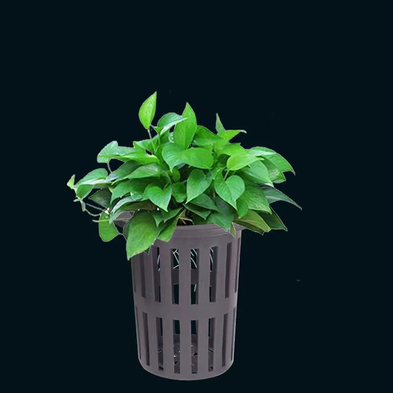 1/3Pcs Aquarium Plant Basket Wall-Mounted Hydroponic Hanging Planter for Fish Tank Aquatic Water Plants Holder with Hanging Hook - view 5