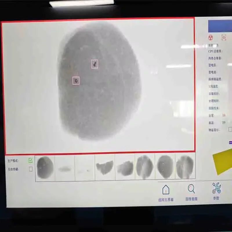 High Precision X-ray Inspection Machine Food Foreign Object Detection System Metal Glass Stone Quality Control Equipment