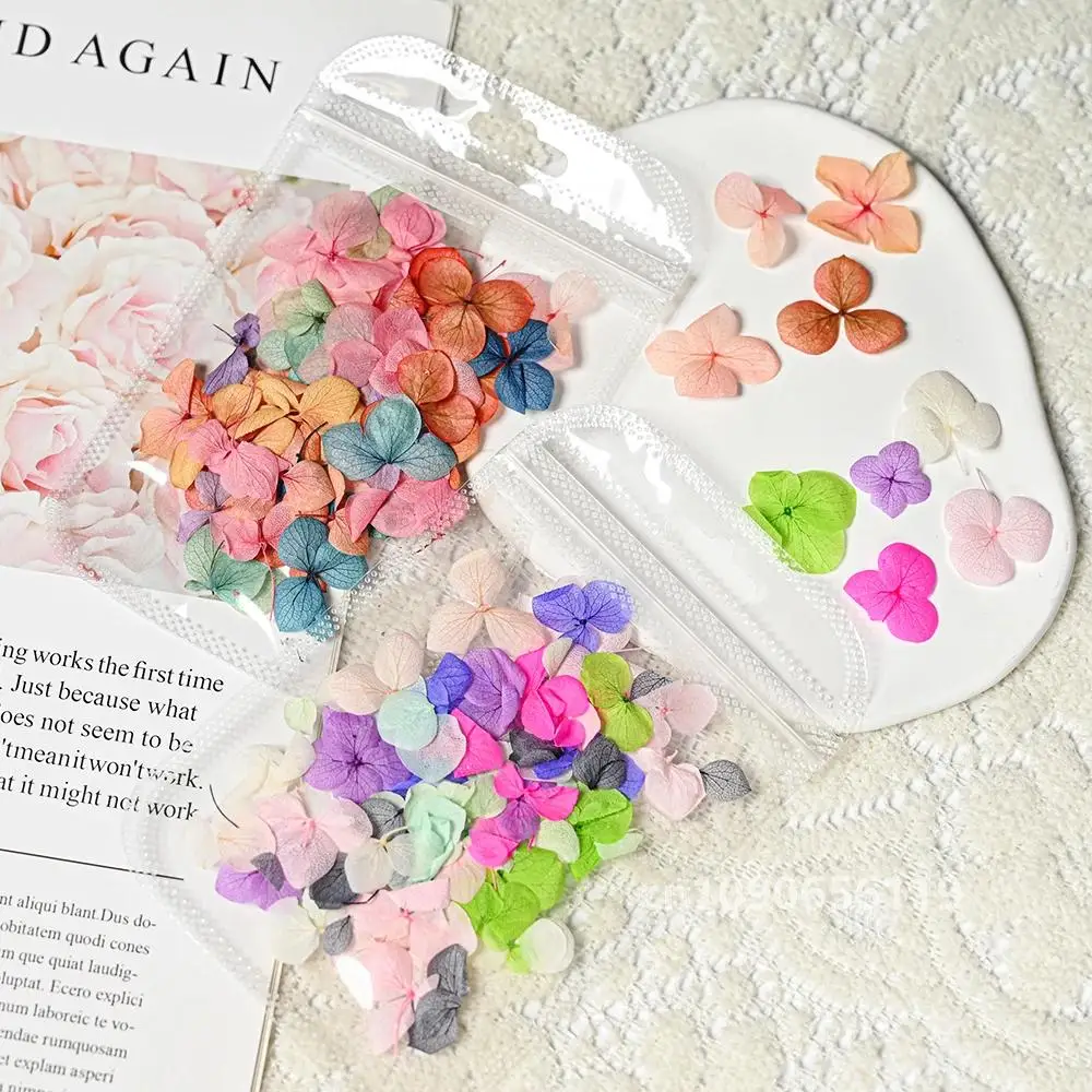 50pcs Colorful Dry Flowers Real Floral Sticker Nail Art Decoration 3D Charm Leaf Flower Gel Polish Manicure Jewelry Accessories