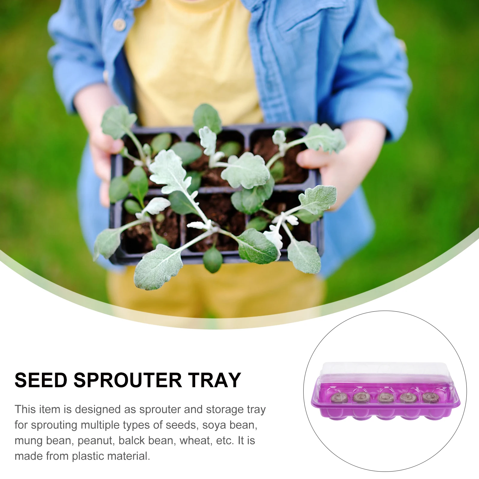 

2pcs Sprouting Tray Set Seed Germination Nursery Box for Mung Beans Soybeans Wheat Healthy Vegetable for Planting