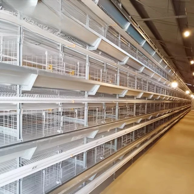 

30000 hen hot-selling layer breeding automatic H-type battery cage equipment