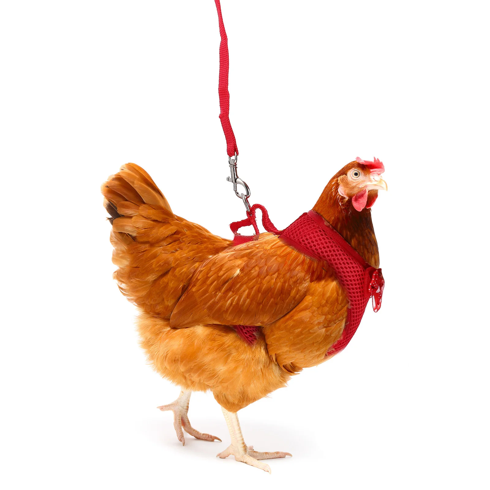 

1 set Rooster Harness Leash Chicken Pulling Rope Pet Hen Traction Chain Chicken Decor Supply Outdoor Walking Decor Supply