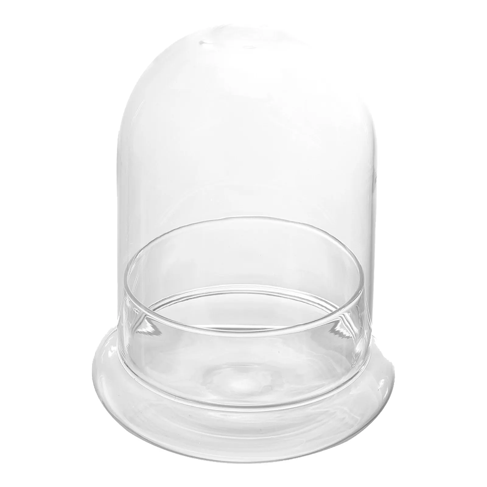 1Pcs Moss Ecological Bottle U-Shaped Glass Container for Home Decoration Micro Landscape Plant Vase Desktop Terrarium