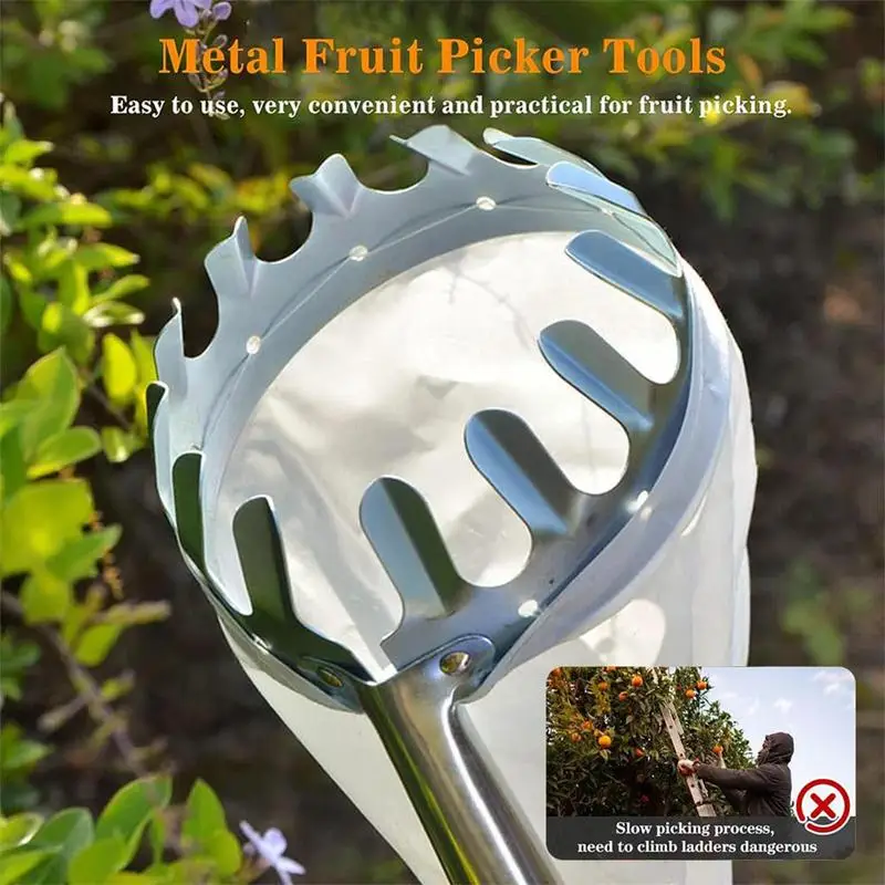 Imagem -02 - Picker de Frutas com Pólo Telescópico Metal Fruit Catcher Coleção Jardinagem do Pomar Apple Peach Picking Tools