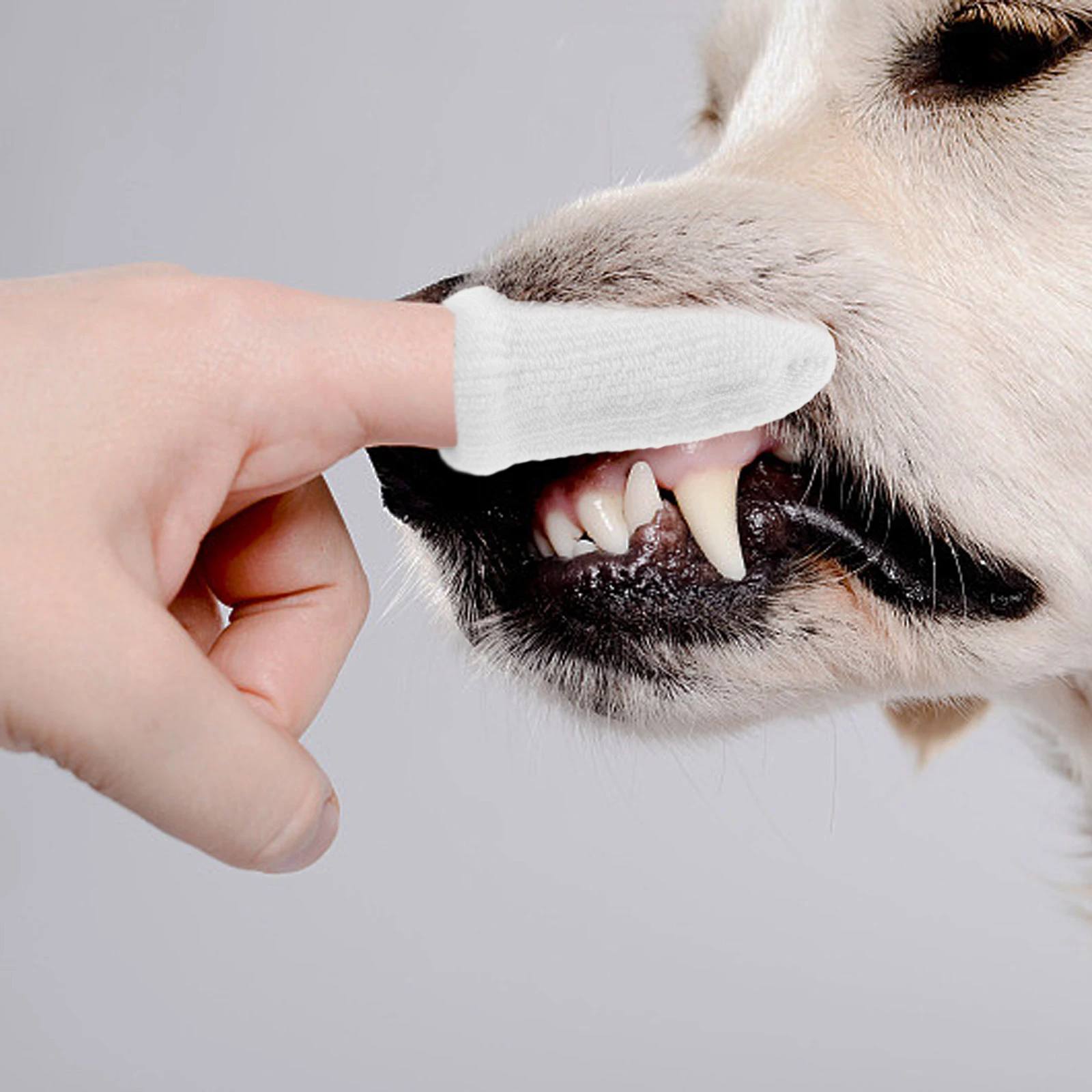 

10 Pcs Cleaning Finger Cots Small Dog Toothbrush Nylon Dog Toothbrush Cat Oral Care Dental Health Small Supplies