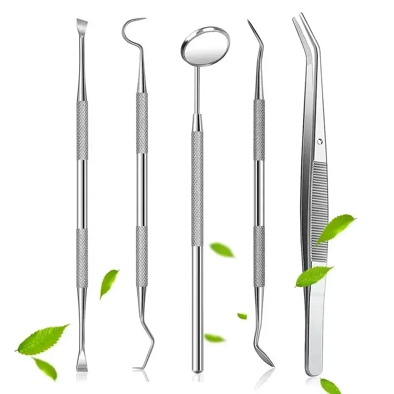3/6pcs Stainless Steel Dentist Oral Tools Cleaning Flossing Tartar Removal Easy to Clean Not Easy to Break Dental Oral Care Kit