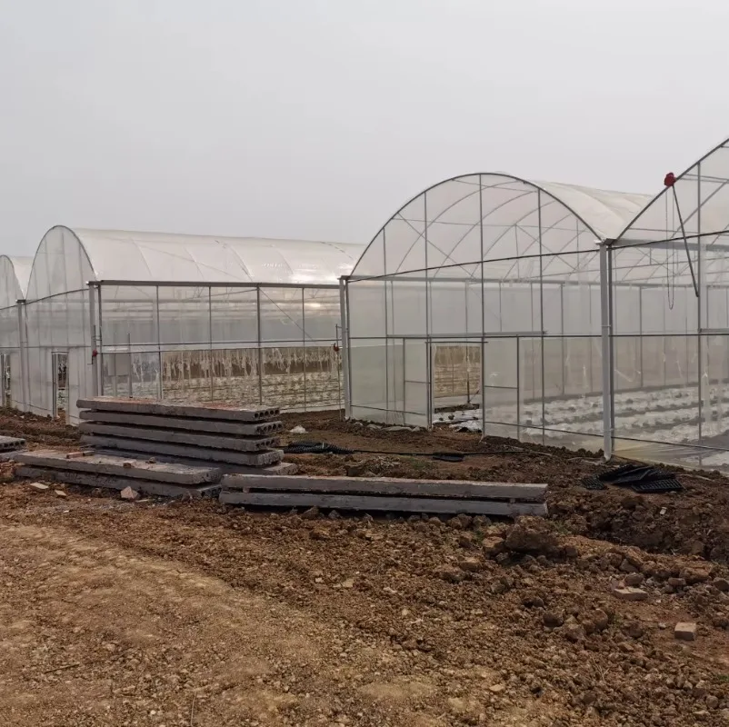 

Недорогой односпальный туннельный овощной теплица, сельскохозяйственный зеленый дом на продажу