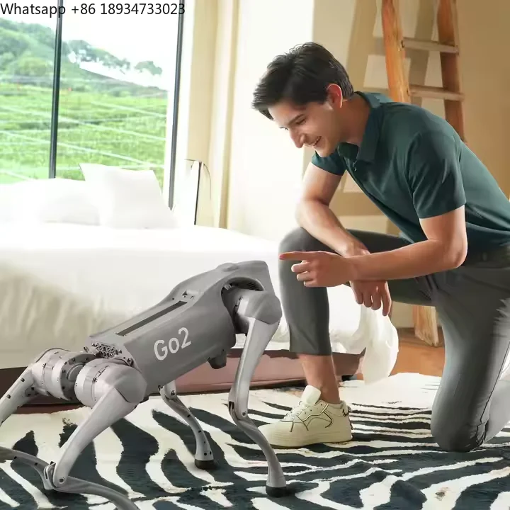 Unitree Go2 Robot Dog Electronic Robotic Dog Go2 | Quadruped Robotics for Adults Embodied AI