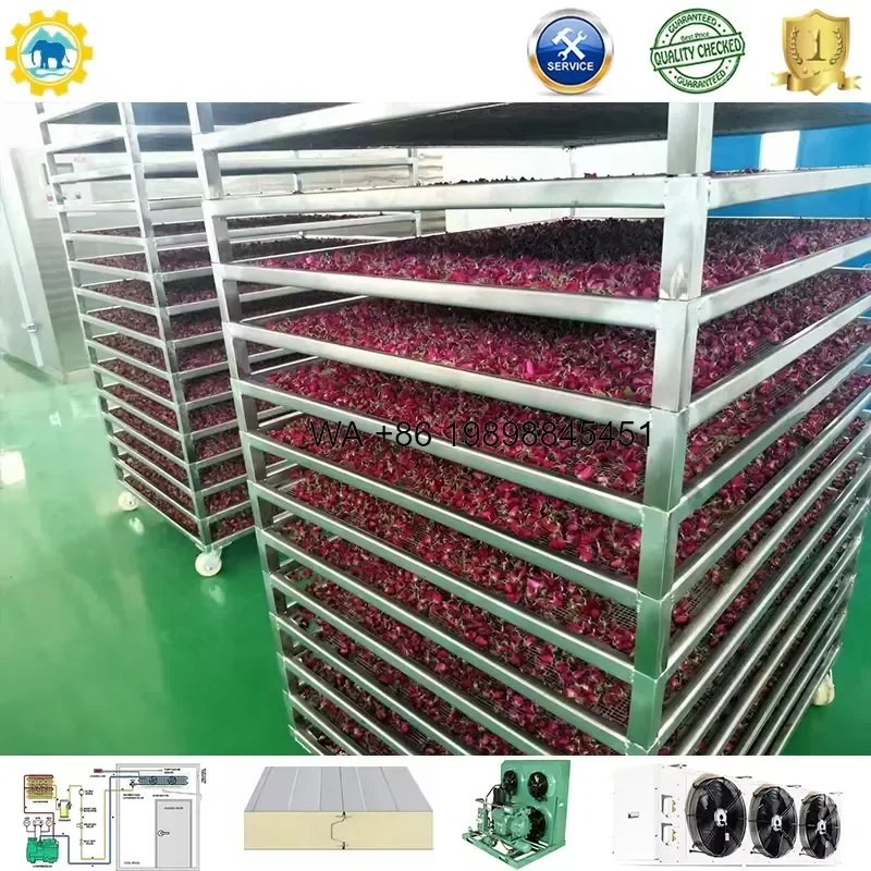 Wmwmnu Industrial Heat Pump Dryer for Fruit Vegetable Meat Fish Food Dehydrator