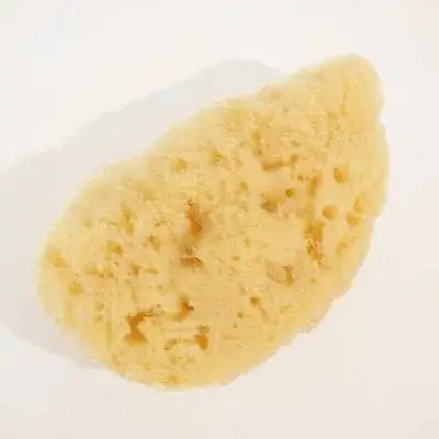 

Watercolor Sponge Tools Natural Yellow Sponges 20-25mm Random Shapes Kids Painting Accessories Water Absorption