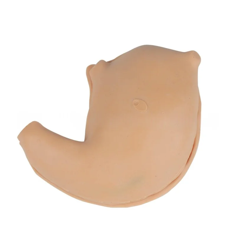 Laparoscopic Simulation Training Module for Gastric Anastomosis Surgical Procedures - 3D Practice for Suturing and Cutting