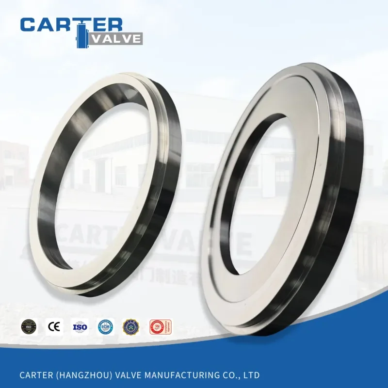 

Butterfly Valve Spare Seal CF8 904L WC-Co Press Fit Bidirectional Zero Leak High Pressure Chemical API6D Pneumatic Acid