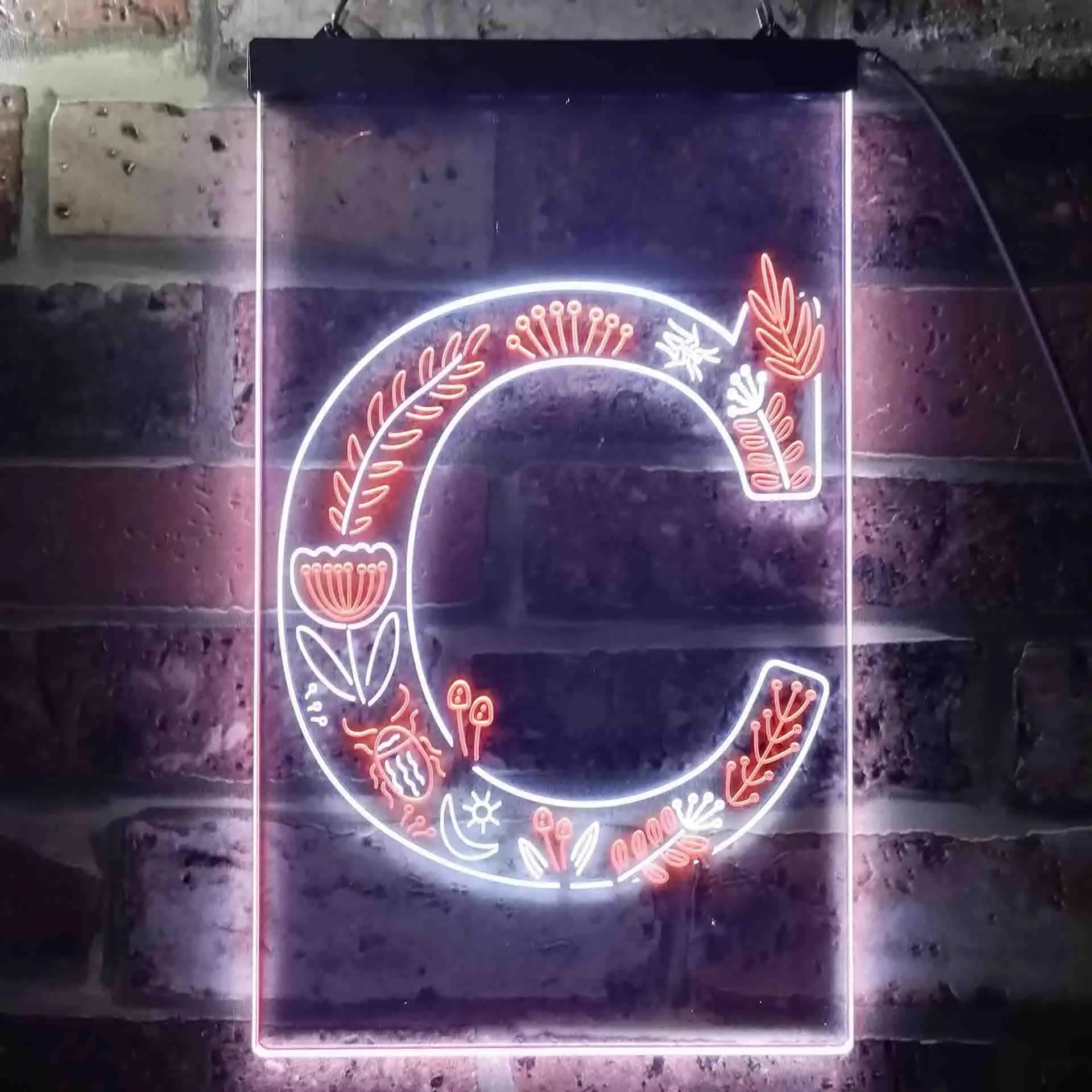 Letter C Initial Monogram Family Name Dual Color Led Neon Sign st6-i3440