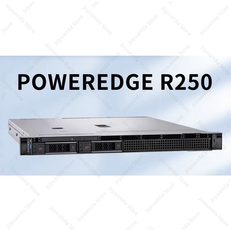 R250 Server 1U Rack ERP Enterprise File Sharing Network Node Host
