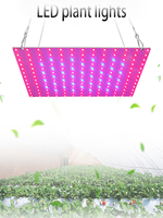 LED Plant Grow Light 1000W/2000W Full Spectrum Hydroponic Growing Lamp Plants Phyto Veg Flower Indoor Ultrathin Panel Phytolamp