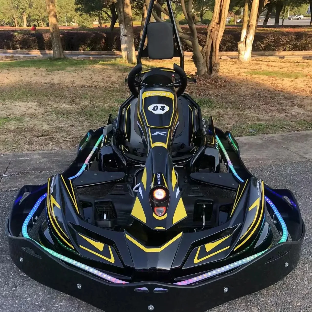 

2024 New Design Hot High-Performance Electric Go Kart Professional Racing Karting