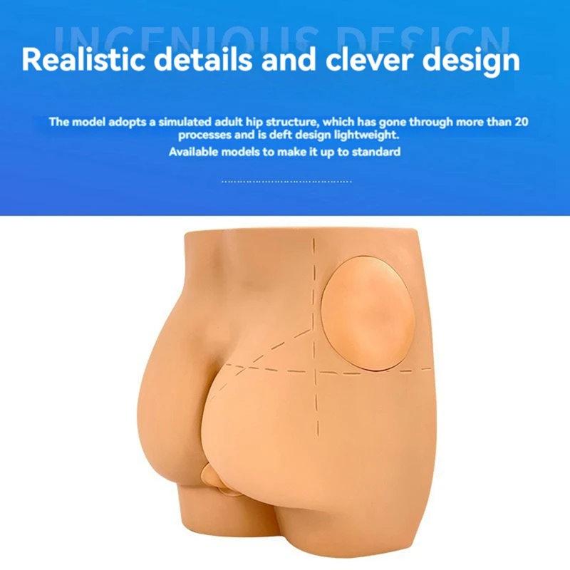 

Human Hip Joint Intramuscular Injection Simulator Anatomical Model, Buttocks Care Puncture, Teaching Resources