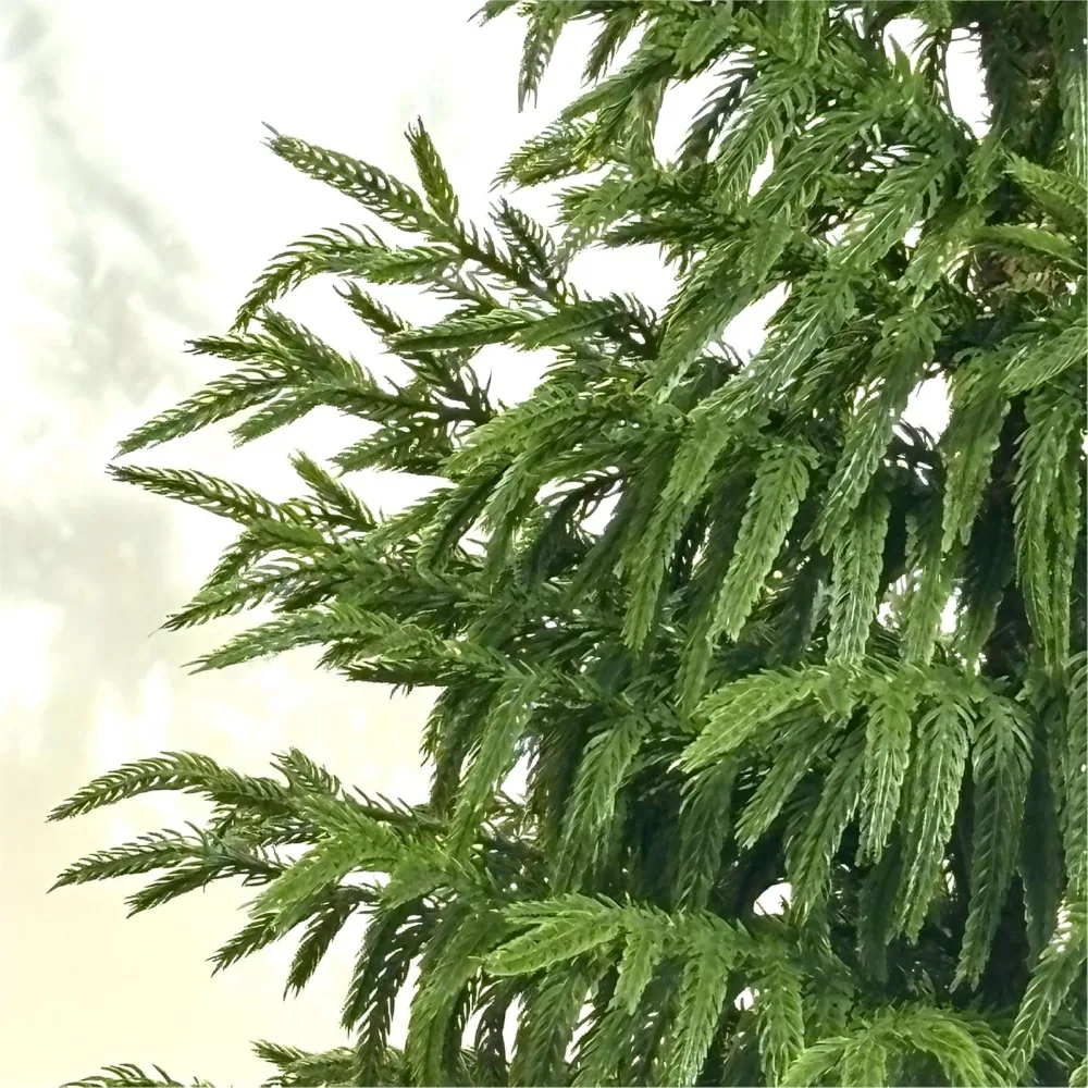 شجرة عيد الميلاد الاصطناعية من خشب الصنوبر نورفولك بلمسة حقيقية، بطول 4 أقدام مع أضواء مدمجة، شجرة عيد الميلاد السرو للاستخدام الداخلي #6