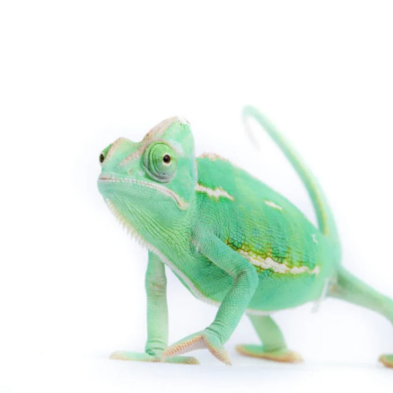 

Металлический корпус передней и задней оси для осевого SCX10 PRO 1/10 RC Гусеничный автомобиль, обновленные детали, аксессуары