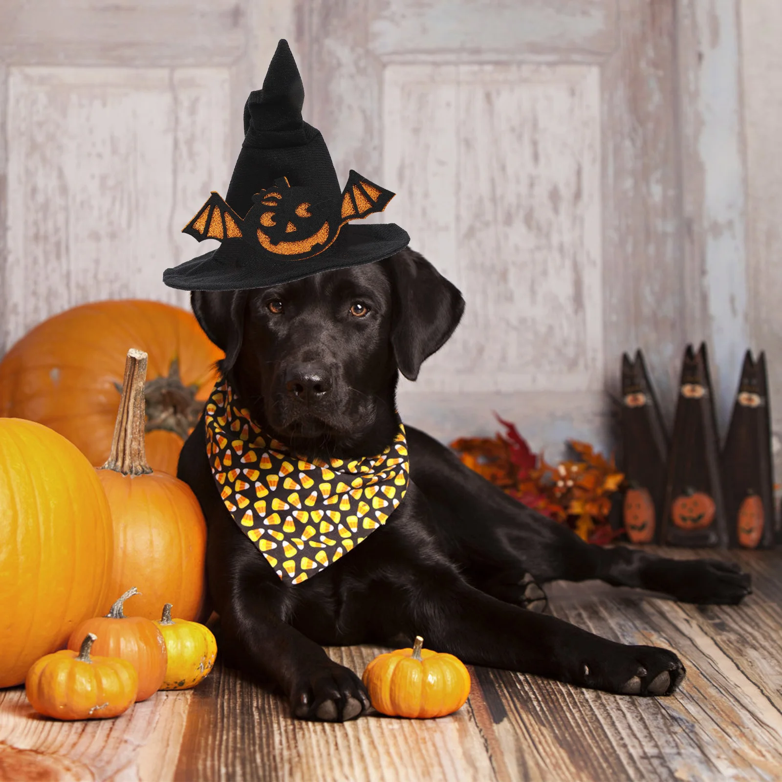 

1Pcs Pet Hat Small Pet Hat Decor Halloween Dog Cat Headdress Soft Breathable Holiday Party Accessory Cat Headdress