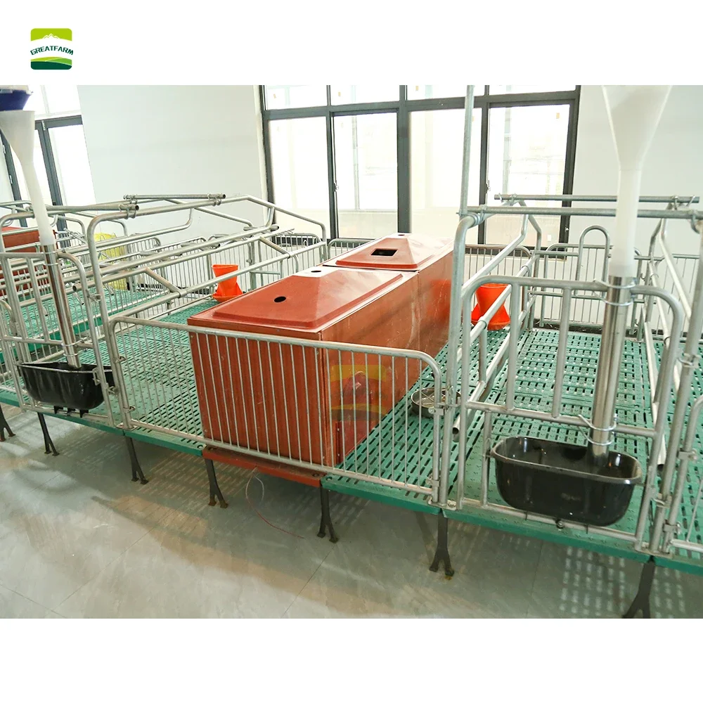 2024 high grade animal breeding equipment excellent quality  Pig Farrowing Cages for farm pigs