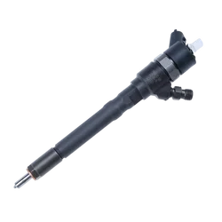 Common Rail Injector 0445110290 For Hyundai Kia D4EA Fuel Injector Nozzle 0445110290 3380021900 3380027000 3380027900 0445110126