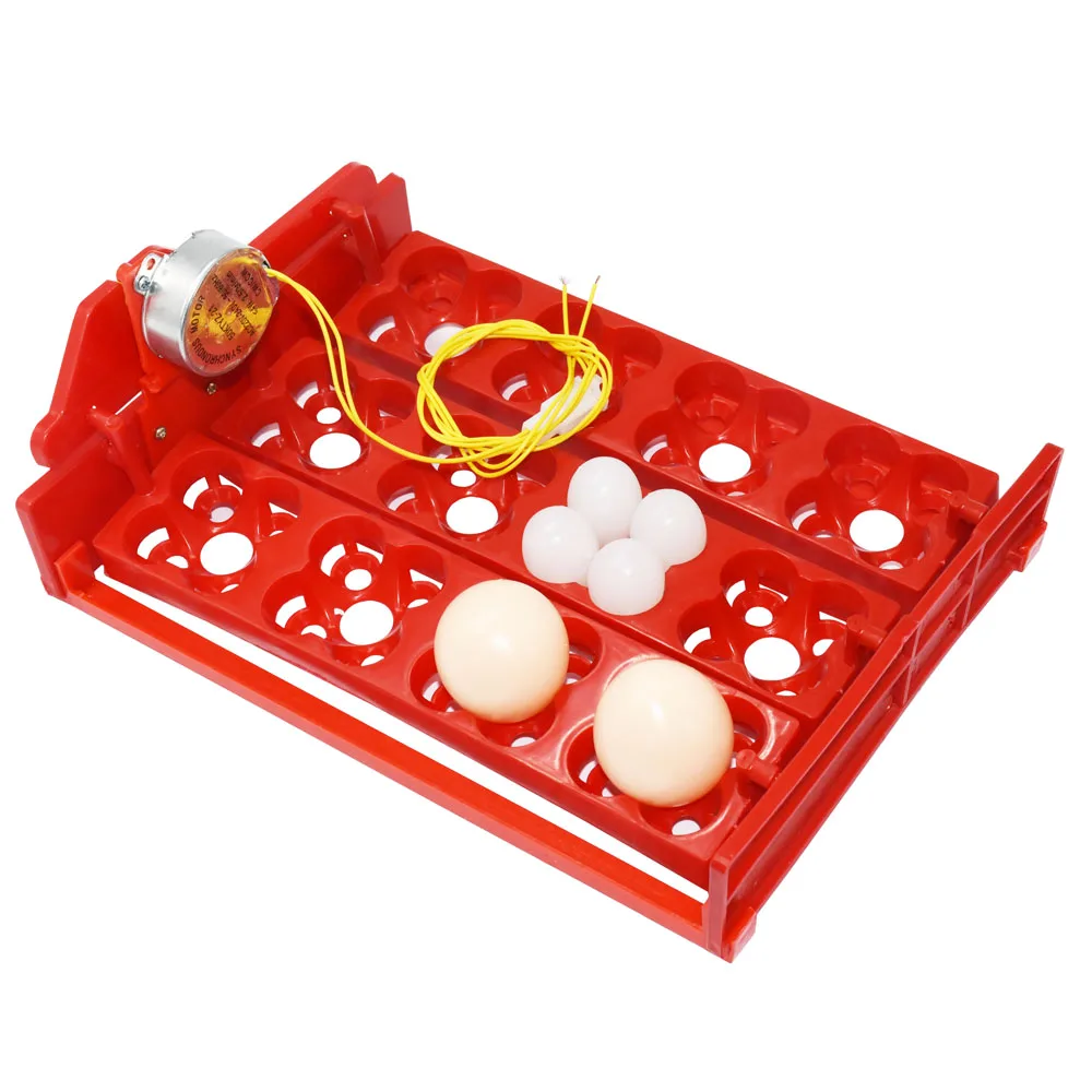 12 Eggs/48 Birds Eggs Incubator Turn Eggs Tray 220V / 110V / 12V Motor Chicken Bird Hatching Equipment DIY Incubator Accessories