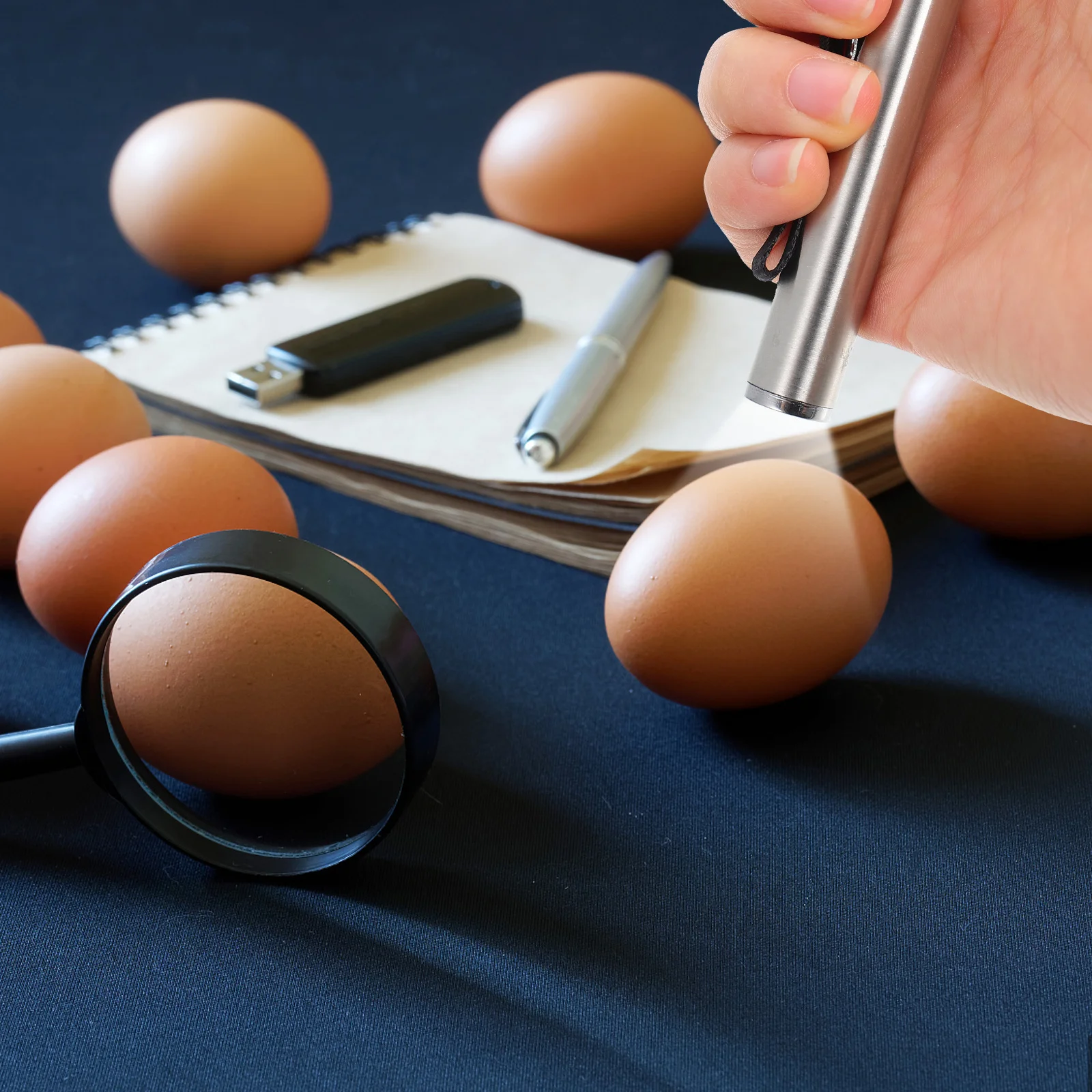 Vela de ovo led luz prata pequena lanterna para ovos incubadora lâmpada profissional ferramenta lanterna teste ovo