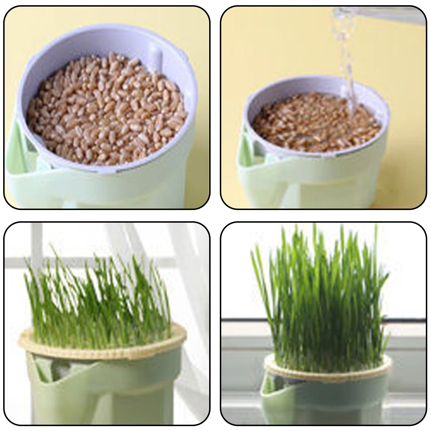 Hierarchical Cat Grass Planting Cup Hydroponic Soilless Cultivation Reusable Catnip Growing Container Seedling Germination Tray