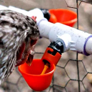 كوب دجاج للشرب البلاستيكي ، شارب أوتوماتيكي ، سقي دواجن ، مغذي مياه ، كتاكيت ، بطة ، أوزة ، 5 قطع ، 10 قطع ، 20 قطعة أعلى 10 مبيعات لسقاية البط - رقم 6