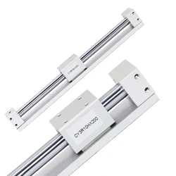 CY3R Magnetic Rodless Cylinders Direct Mount CY3R6 CY3R10 CY3R15 CY3R20 CY3R25 CY3R32 100 200 300 Air Pneumatic Cylinder Piston
