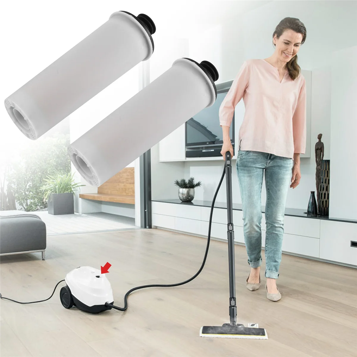 2 szt. Środek do odkamieniania odkurzacza parowego do serii SC3 SC 3 Easyfix/SC3MX/SC3 127V BR Filtr odkamieniający-A07G