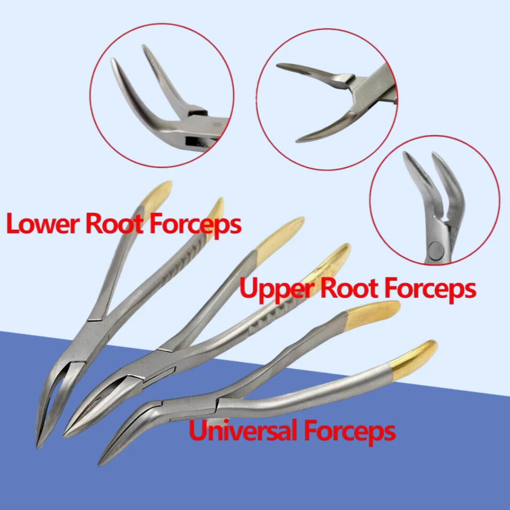 

Зубные щипцы для удаления остатков корней, изогнутые, универсальные, для верхних и нижних челюстей, инструменты стоматолога
