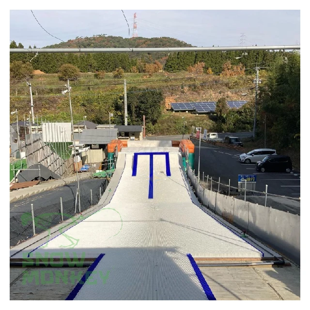 الطريقة الصحيحة لفتح التزلج للفصول الأربعة في المدينة على شكل قرد الثلج الجاف #3