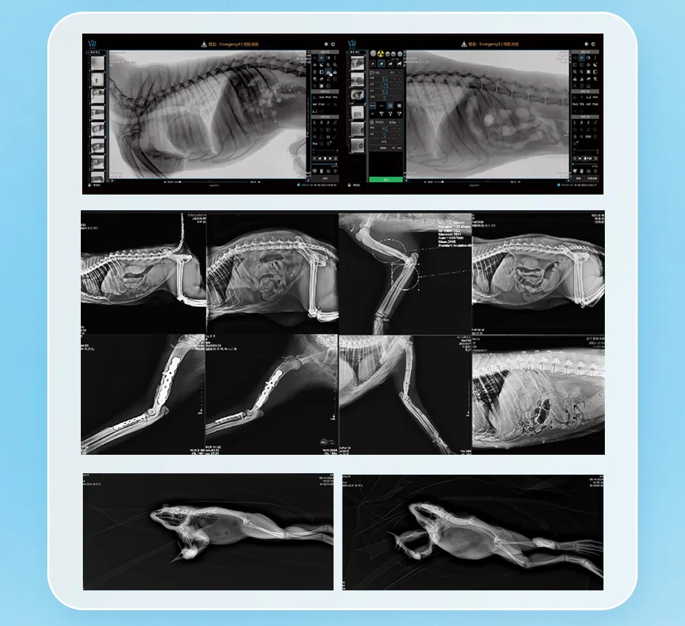 Veterinary CT scanner pet-specific multi-function CT machine, suitable for animal hospitals, compact design saves space