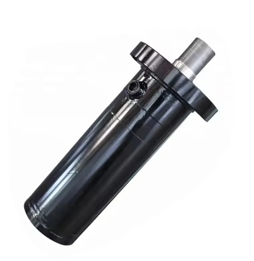 أسطوانة هيدروليكية مكبس مخصصة مزدوجة التمثيل أسطوانة هيدروليكية شديدة التحمل #2